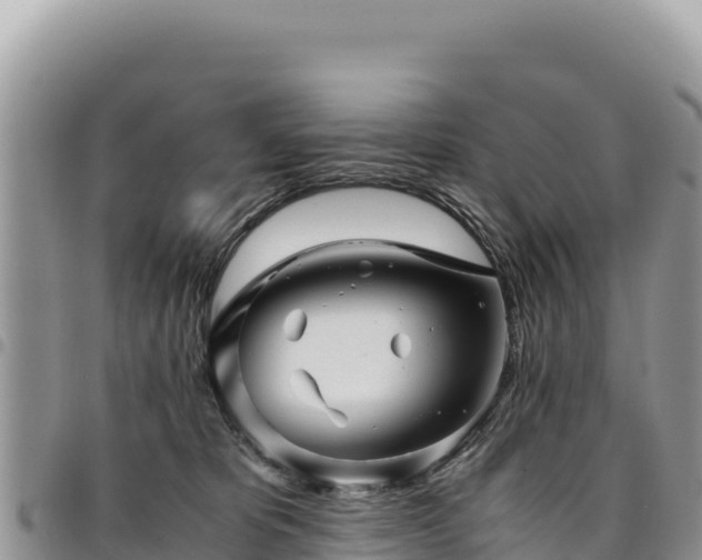 X0000094930325200711291340