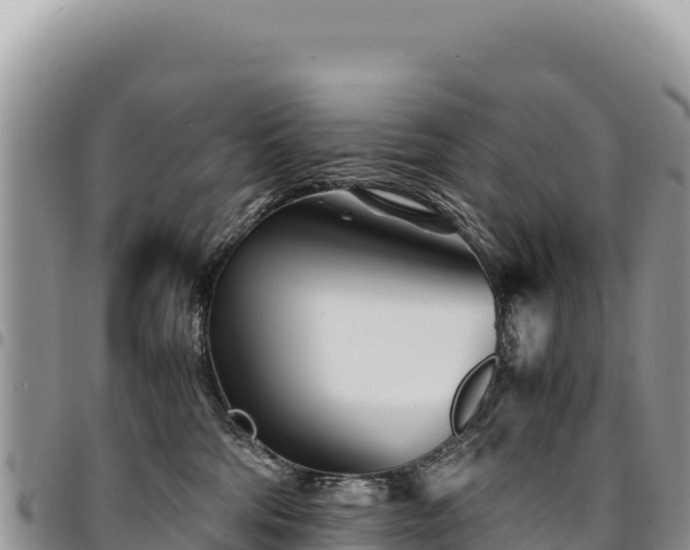 X0000094930330200711291340