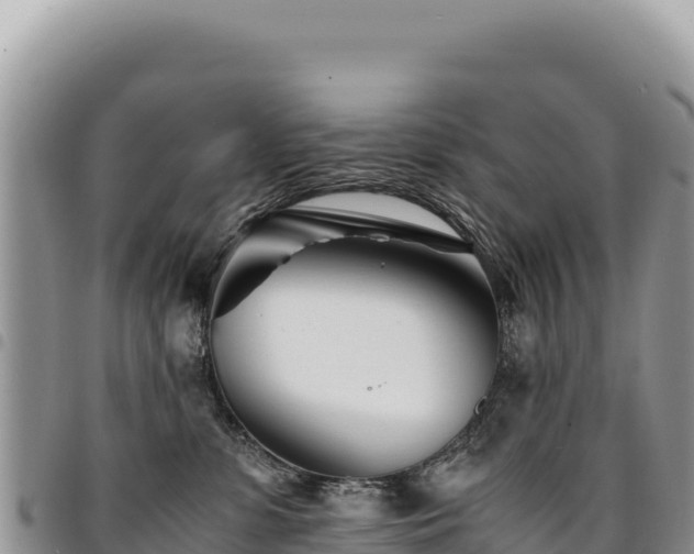 X0000094930331200711291340