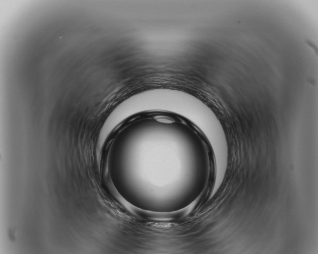 X0000094930332200711291340
