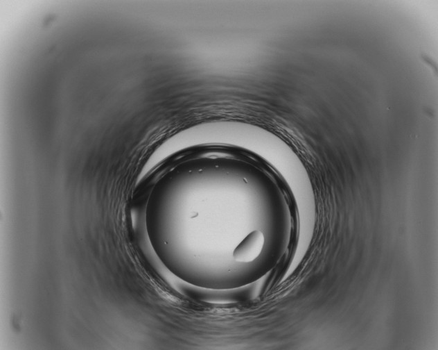X0000094930333200711291340