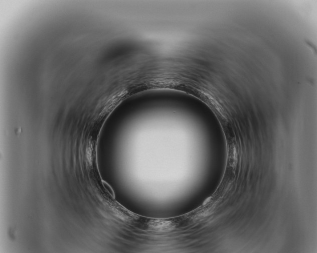 X0000094930334200711291340