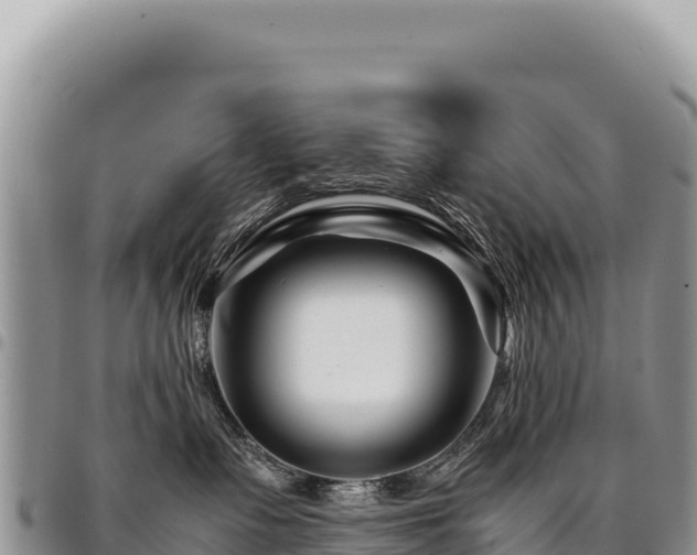 X0000094930335200711291340
