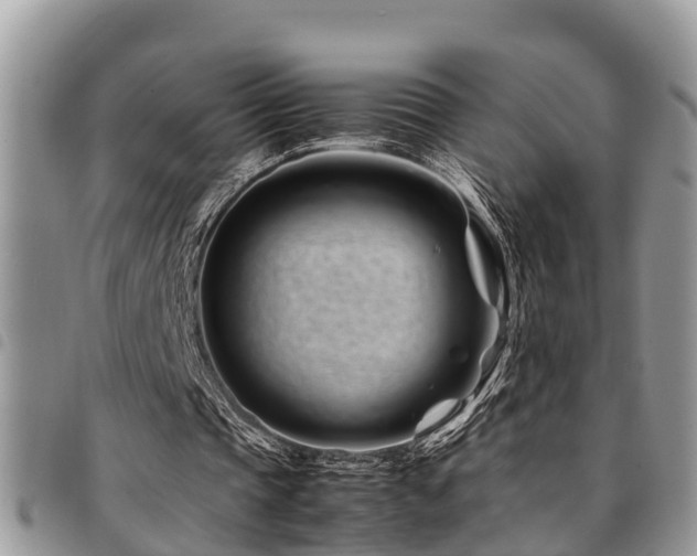 X0000094930337200711291339