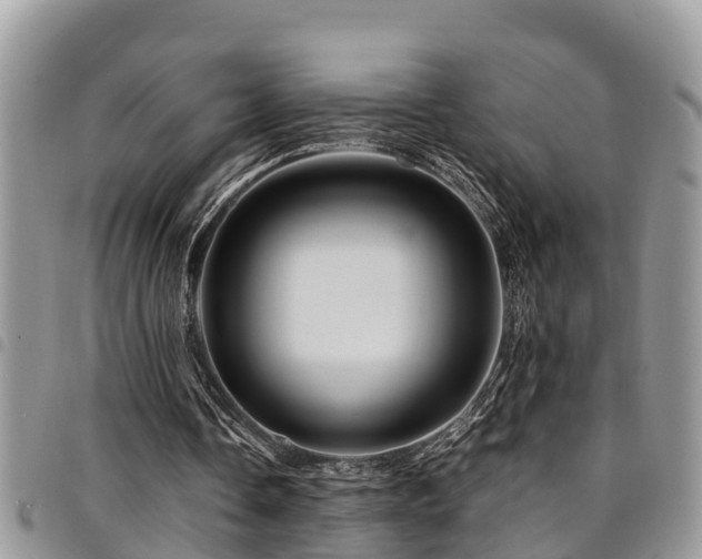 X0000094930338200711291339