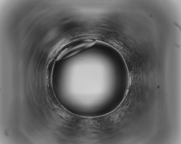 X0000094930339200711291339