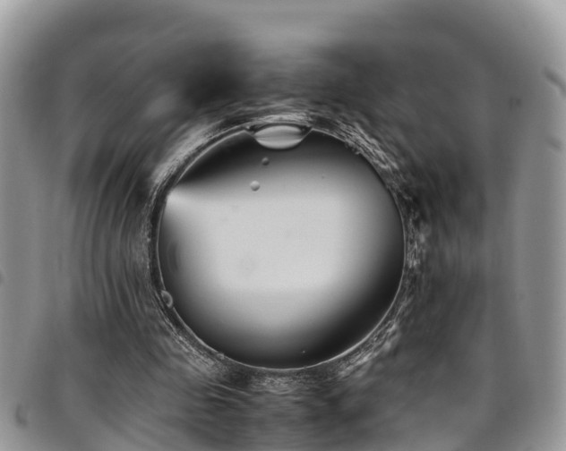 X0000094930341200711291339