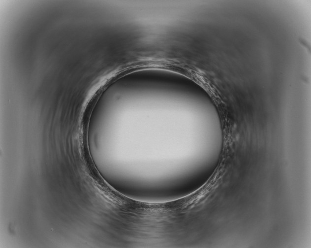 X0000094930342200711291339