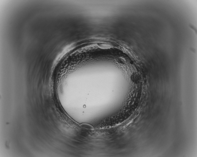 X0000094930343200711291339