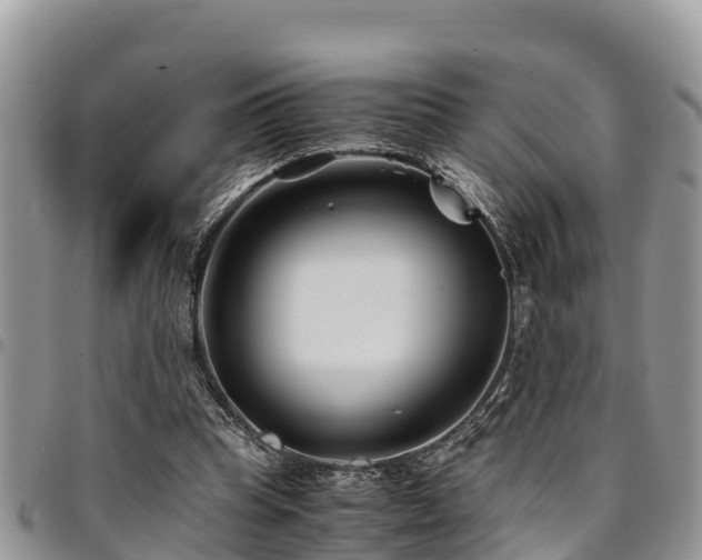 X0000094930345200711291339