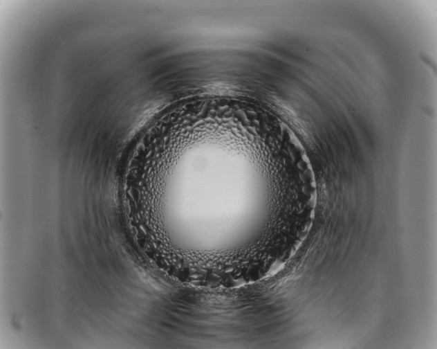 X0000094930347200711291339
