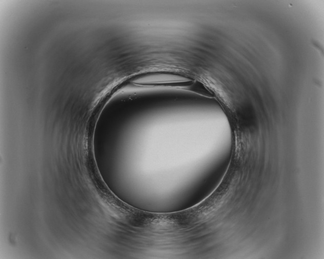 X0000094930348200711291339