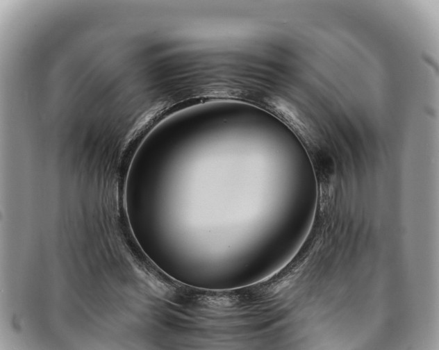 X0000094930349200711291339