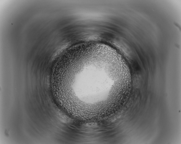 X0000094930353200711291339