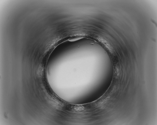 X0000094930355200711291339