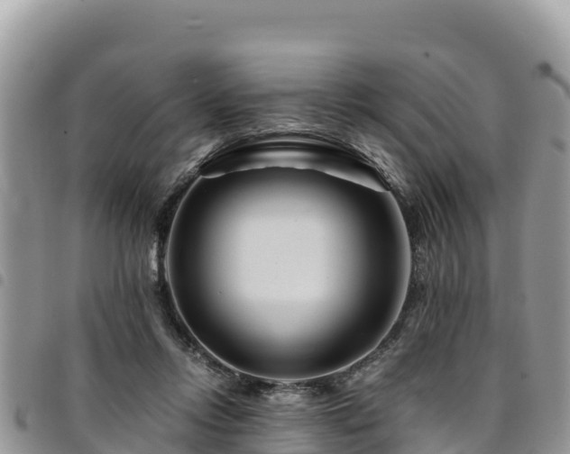 X0000094930358200711291340