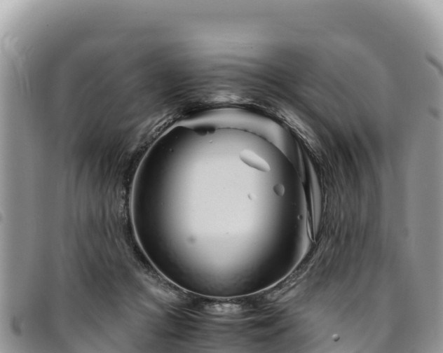 X0000094930361200711291340