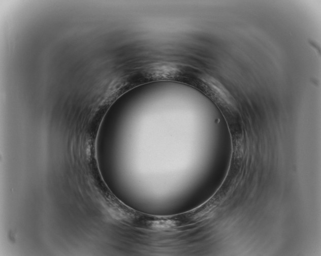 X0000094930363200711291340