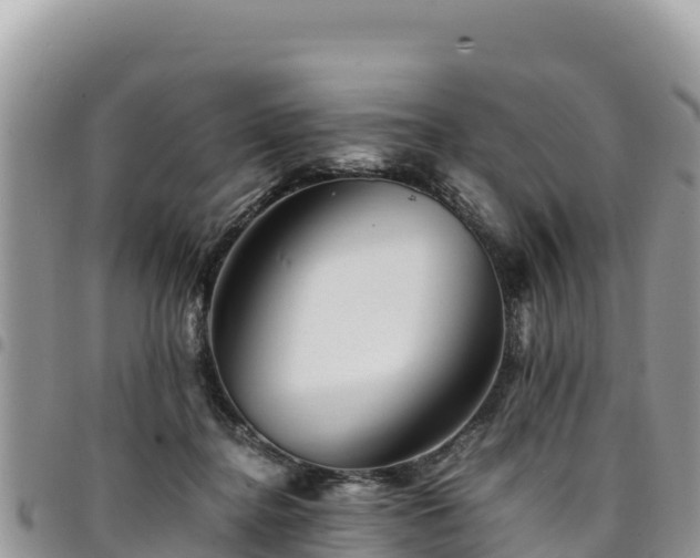 X0000094930364200711291340