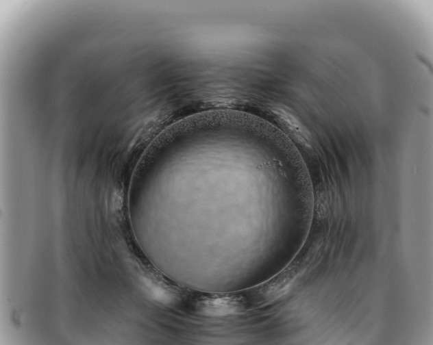 X0000094930365200711291340