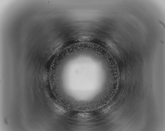 X0000094930367200711291340