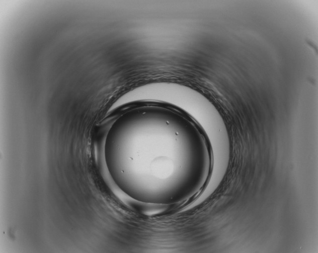 X0000094930368200711291340