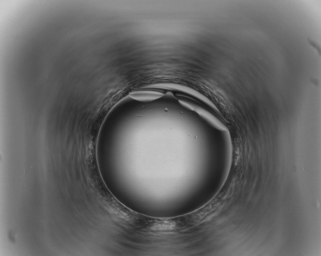 X0000094930369200711291340