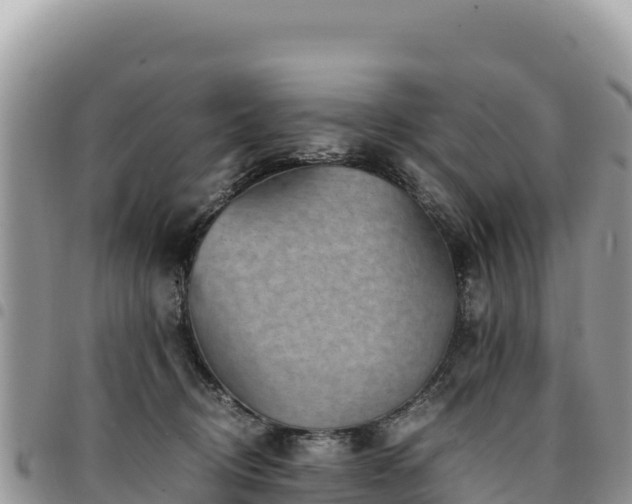 X0000094930370200711291340