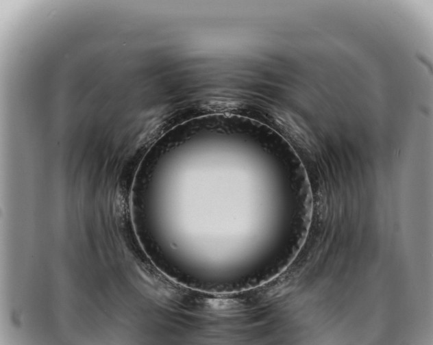 X0000094930371200711291340