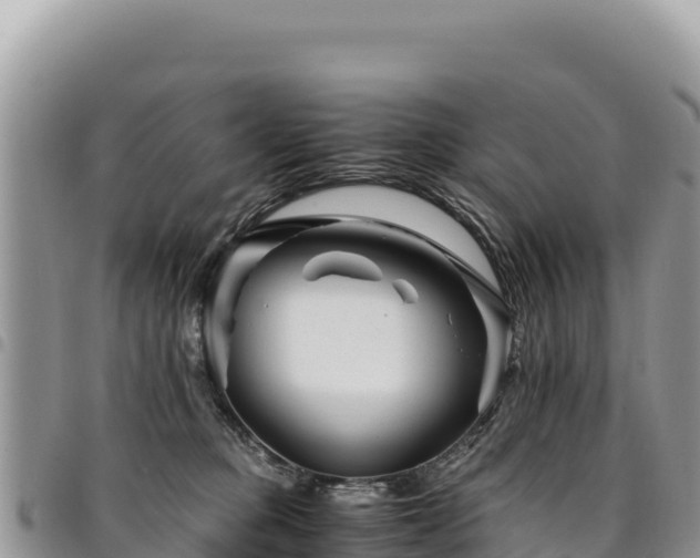 X0000094930373200711291340