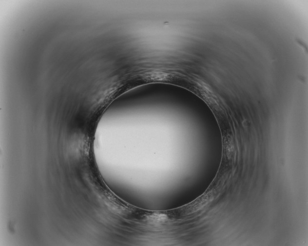 X0000094930374200711291340
