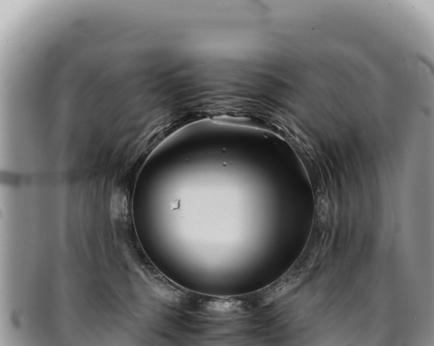 X0000094930375200711291340