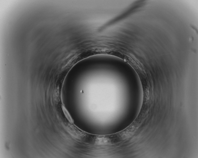 X0000094930376200711291340