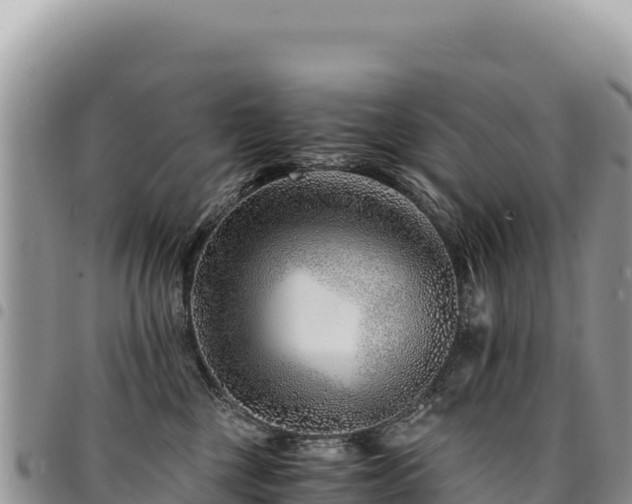 X0000094930377200711291340