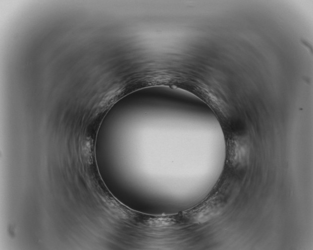 X0000094930378200711291340
