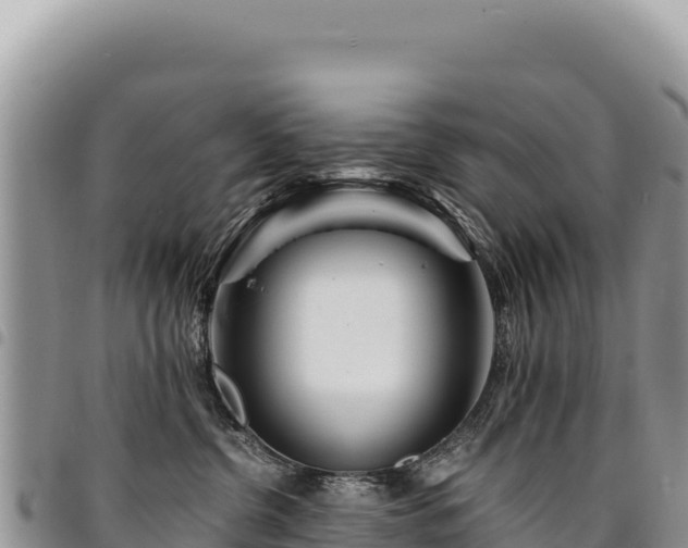 X0000094930380200711291340