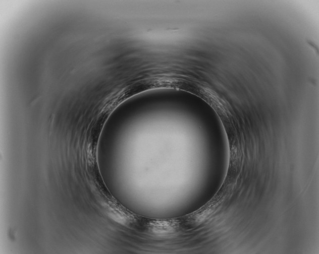 X0000094930381200711291340