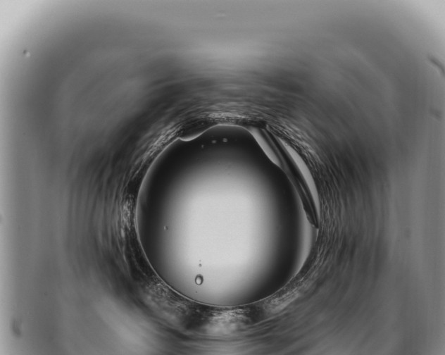 X0000094930382200711291340