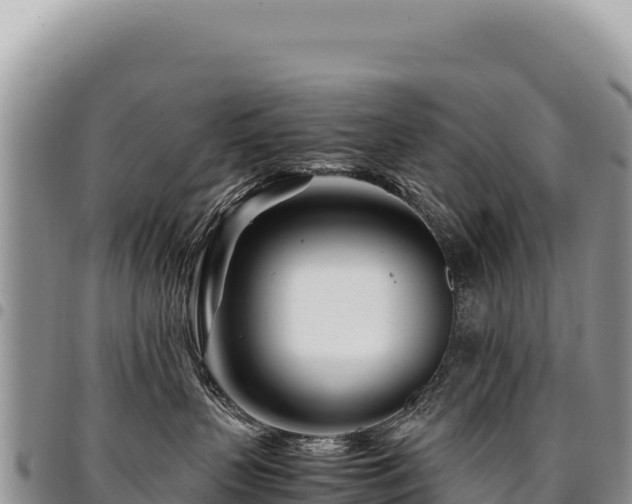 X0000094930383200711291340
