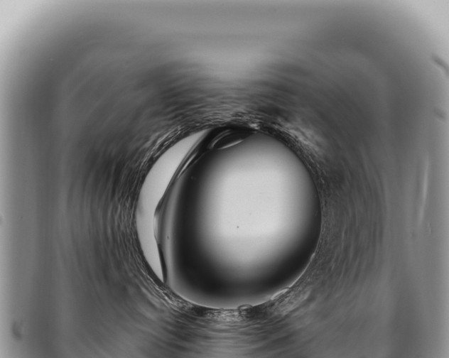 X0000094930384200711291340