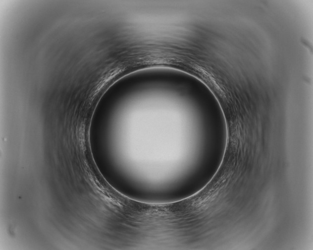 X0000094930386200711291339