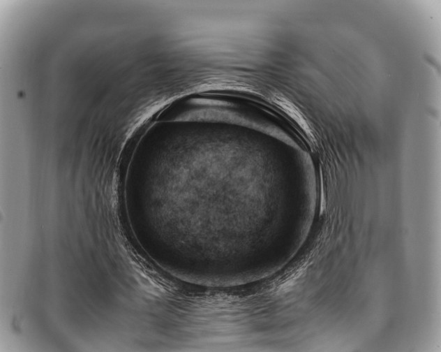 X0000094930387200711291339