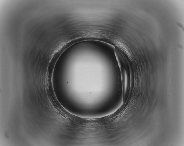 X0000094930388200711291339