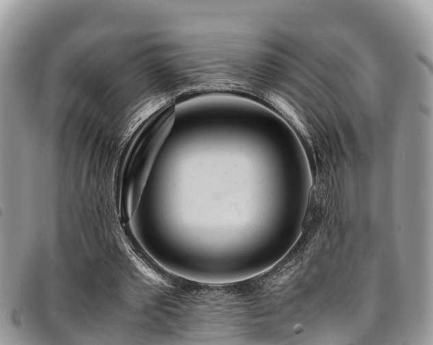 X0000094930389200711291339