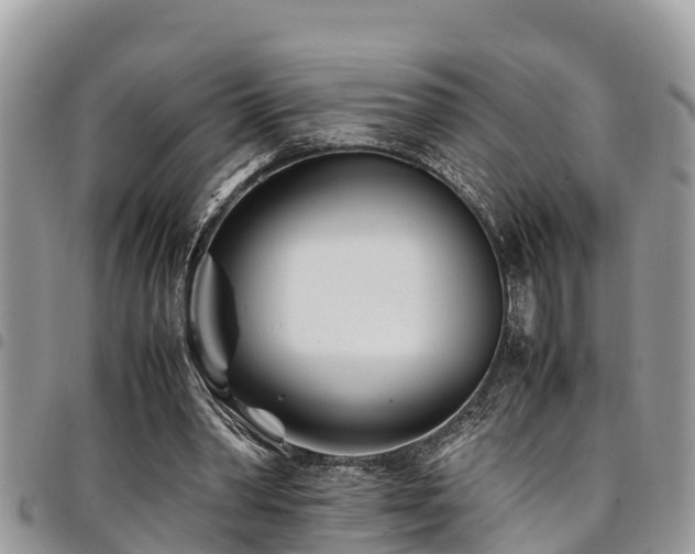 X0000094930390200711291339