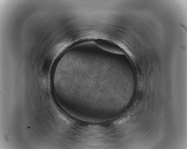 X0000094930391200711291339