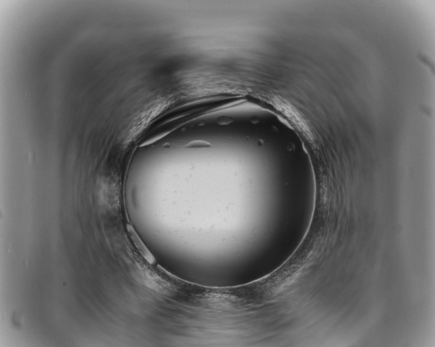 X0000094930393200711291339