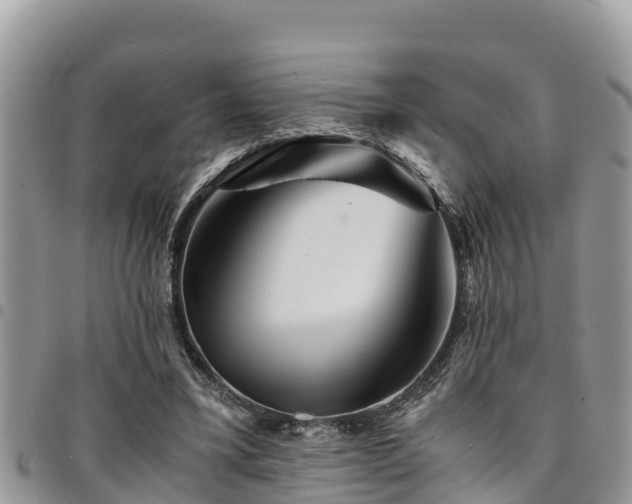 X0000094930395200711291339