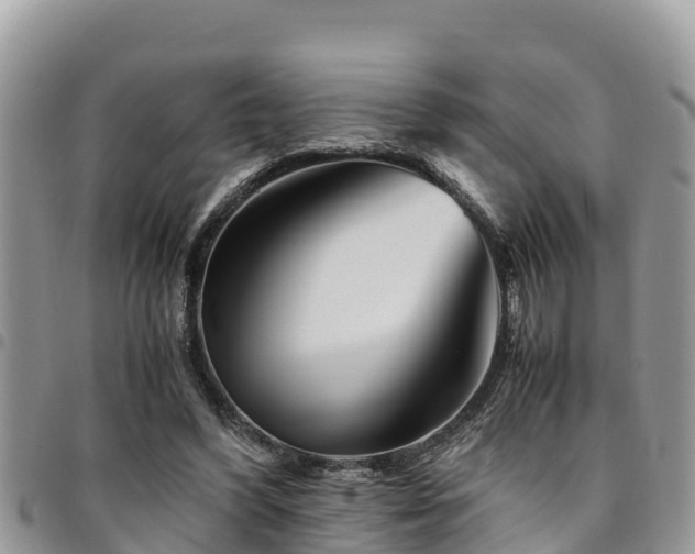X0000094930396200711291339
