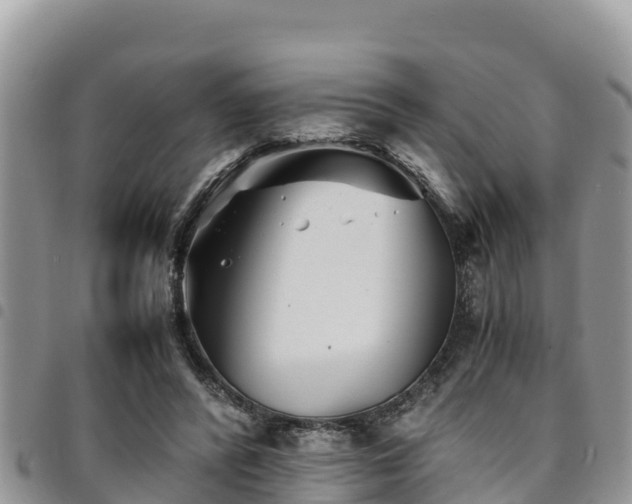 X0000094930400200711291339